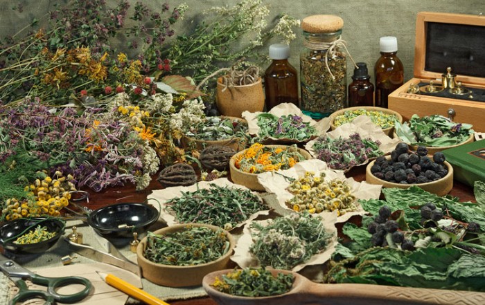 Display of dried medicinal herbs. Herbs: A Spiritual Approach
